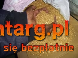 Oro, lingotti d'oro, polvere d'oro, lingotti e pepite d'oro disponibi