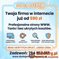 Strona internetowa już od 590 zł - BEZ PRZEPŁACANIA!