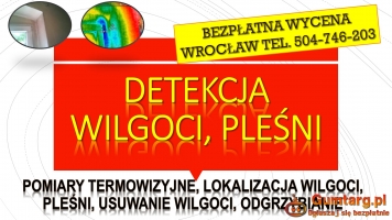 Wykrycie pleśni, tel. 504-746-203. Wrocław, wykrywanie, pleśń, cennik