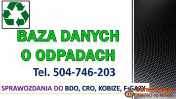 Wystawienie zlecenia, karty w BDO,  tel. 504-746-203. Obsługa systemu