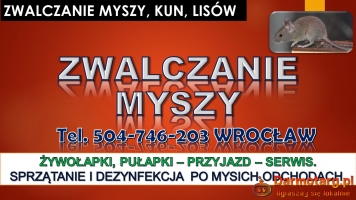 Likwidacja myszy, tel.504-746-203 cena, Wrocław. Pozbycie się myszy,