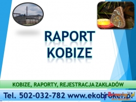 Jak wypełnić Raport do Kobize, do kiedy i jak złożyć raport ?