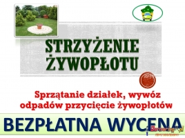 Obcięcie żywopłotu cennik tel 504-746-203. Skrócenie żywopłotu, tui, W