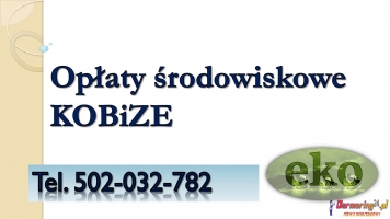 Obliczanie opłat środowiskowych, tel. 502-0320-782.Raport do Kobize,
