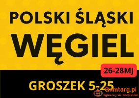 POLSKI ŚLĄSKI WĘGIEL, WĘGIEL GROSZEK , EKOGROSZEK/ Transport Gratis !