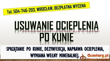 Naprawa, ocieplenia, izolacji, tel. 504-746-203, Wrocław, po kunie