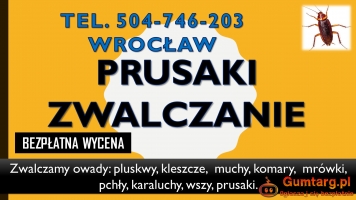 Dezynfekcja na prusaki tel. 504-746-203, we Wrocławiu, pluskwy i inne