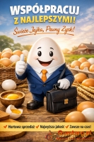 Stałe dostawy świeżych jaj