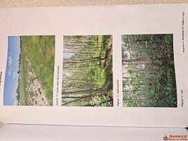 Sprzedaż działki budowlanej i rolnej