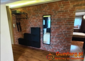 2pok 50met, Okolice Wołowskiej KOMÓRKA/OGRÓD/MP (Wrocław)