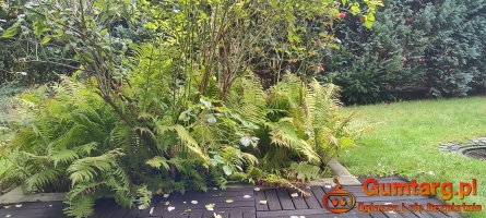 1pok, 26met, okolice Wawrzyniaka TARAS/OGRÓD (Wrocław)