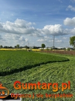 Działka budowlana (3000 m2) MEDIA (Żórawina)