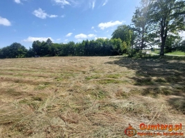 Działka Budowlana (3000 m2) MEDIA (Kukułowo)