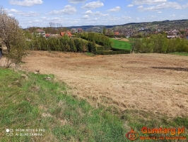 Działka rolno-budowlana (5600m2) ul. Leśna MEDIA (Tuchów)