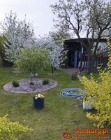 Działka Rekreacyjna (300 m2) ul. Norwida ALTANKA (Kluczbork)