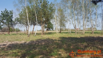 Działka Budowlana (3000 m2) MEDIA (Ozorowice)