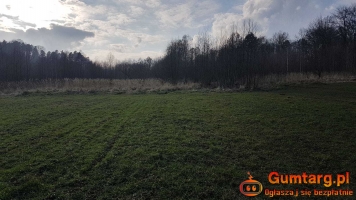 Działka Rolna (8600 m2) gmina Lubań (Kościelnik)