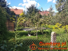 DZIAŁKA REKREACYJNA (300 m2) Okolice Hallera (Wrocław)