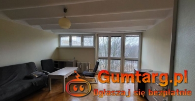 2pok, 42met, Okolice Zaporskiej PIWNICA (Wrocław)