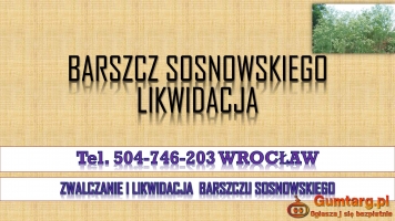 Malowanie mieszkań cennik, tel. 504-746-203. Wrocław. Usługi malowania