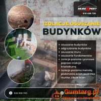 Skuteczne osuszanie budynków i odgrzybianie ścian. Pozbądź się wilgoci