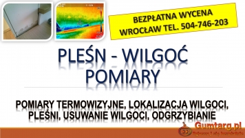 Wykrycie grzyba w mieszkaniu, tel. 504-746-203, Wrocław, lokalizacja