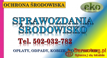Wypełnienie raportu do Kobize, cena, tel. 504-746-203. Krok po kroku.