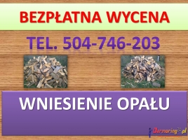 Wnoszenie drewna kominkowego, tel. 504-746-203,wniesienie opału, cena