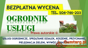 Wycięcie drzewa na działce, Wrocław, tel. 504-746-203. Ścięcie drzewa