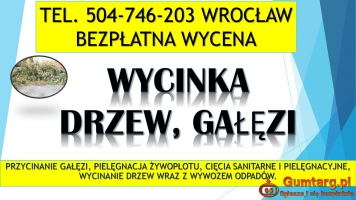 Przycinanie gałęzi, cena tel. 504-746-203, Wrocław,  wycinka