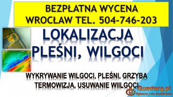 Wykrycie pleśni, tel. 504-746-203. Wrocław, wykrywanie, pleśń