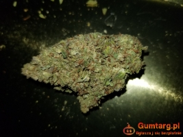 Marihuana 26%thc watermelon zkittlez