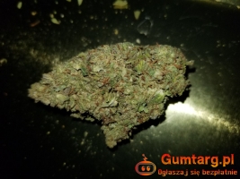 Marihuana 26%thc watermelon zkittlez