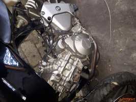 Honda Hornet 600