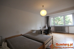 2pok, 50met, okolice Krętej ROZKŁAD/LOGGIA/PIWNICA (Wrocław)