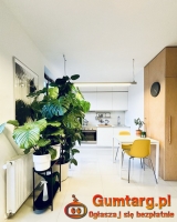 1pok, 33met, okolice Traugutta ANTRESOLA/TARAS/WINDA (Wrocław)