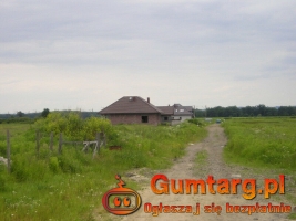 Działka Budowlana (1500 m2) ul. Orla MEDIA (Wilkszyn)