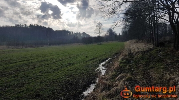 Działka Rolna (8600 m2) gmina Lubań (Kościelnik)