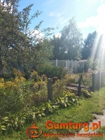 DZIAŁKA REKREACYJNA (300 m2) Okolice Hallera DOMEK (Wrocław)