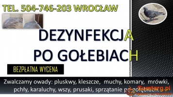 Obrzeżek gołębi, dezynfekcja tel. 504-746-203, Wrocław