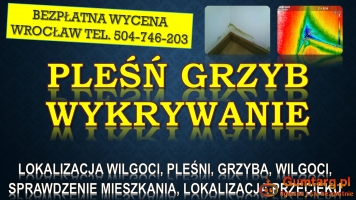 Odgrzybianie mieszkania, cena, tel. 504-746-203. Wrocław. Termowizja