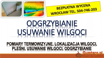 Wykrycie grzyba w mieszkaniu, tel. 504-746-203, Wrocław, lokalizacja