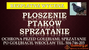 Zabezpieczenie budynku przed gołębiami, tel. 504-746-203