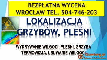 Wykrycie pleśni, tel. 504-746-203. Wrocław, wykrywanie, pleśń