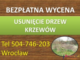 Obcięcie żywopłotu cennik tel 504-746-203. Skrócenie żywopłotu, tui, W