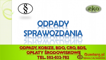 Wykonanie raportu z odpadów do bdo, tel. 504-746-203. Sprawozdanie