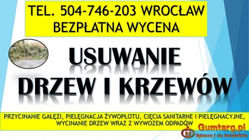 Przycinanie gałęzi, cena tel. 504-746-203, Wrocław,  wycinka