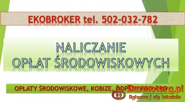 Wypełnienie raportu do Kobize, cena, tel. 504-746-203. Krok po kroku.