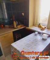 2pok, 52met, Okolice Krasińskiego PIWNICA (Wrocław)