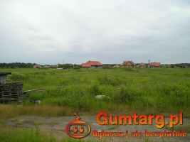 Działka Budowlana (1500 m2) ul. Orla MEDIA (Wilkszyn)